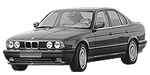 BMW E34 B3124 Fault Code